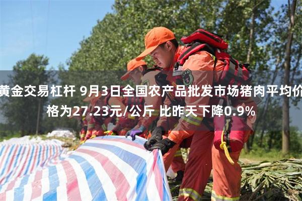 黄金交易杠杆 9月3日全国农产品批发市场猪肉平均价格为27.23元/公斤 比昨天下降0.9%