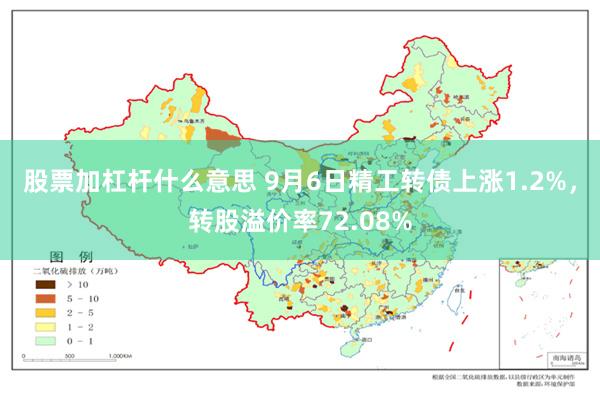 股票加杠杆什么意思 9月6日精工转债上涨1.2%，转股溢价率72.08%