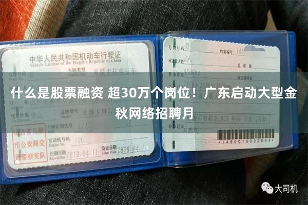 什么是股票融资 超30万个岗位！广东启动大型金秋网络招聘月