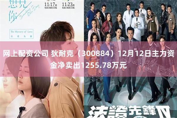 网上配资公司 狄耐克（300884）12月12日主力资金净卖出1255.78万元