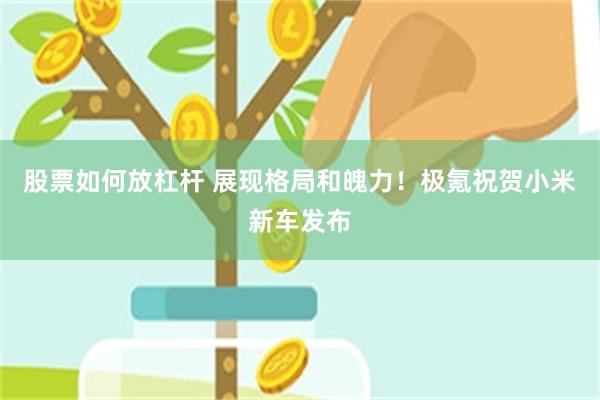 股票如何放杠杆 展现格局和魄力！极氪祝贺小米新车发布