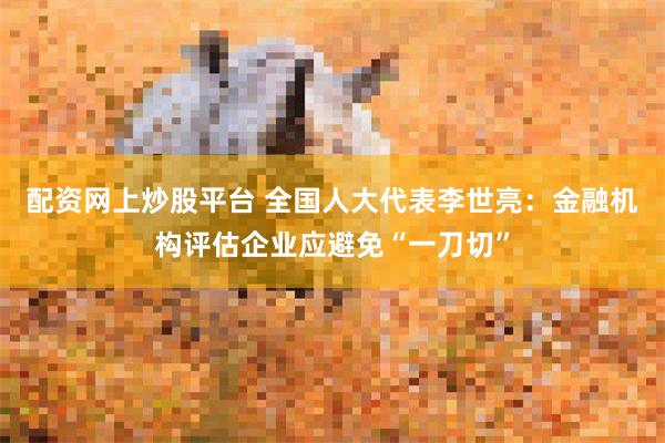 配资网上炒股平台 全国人大代表李世亮：金融机构评估企业应避免“一刀切”